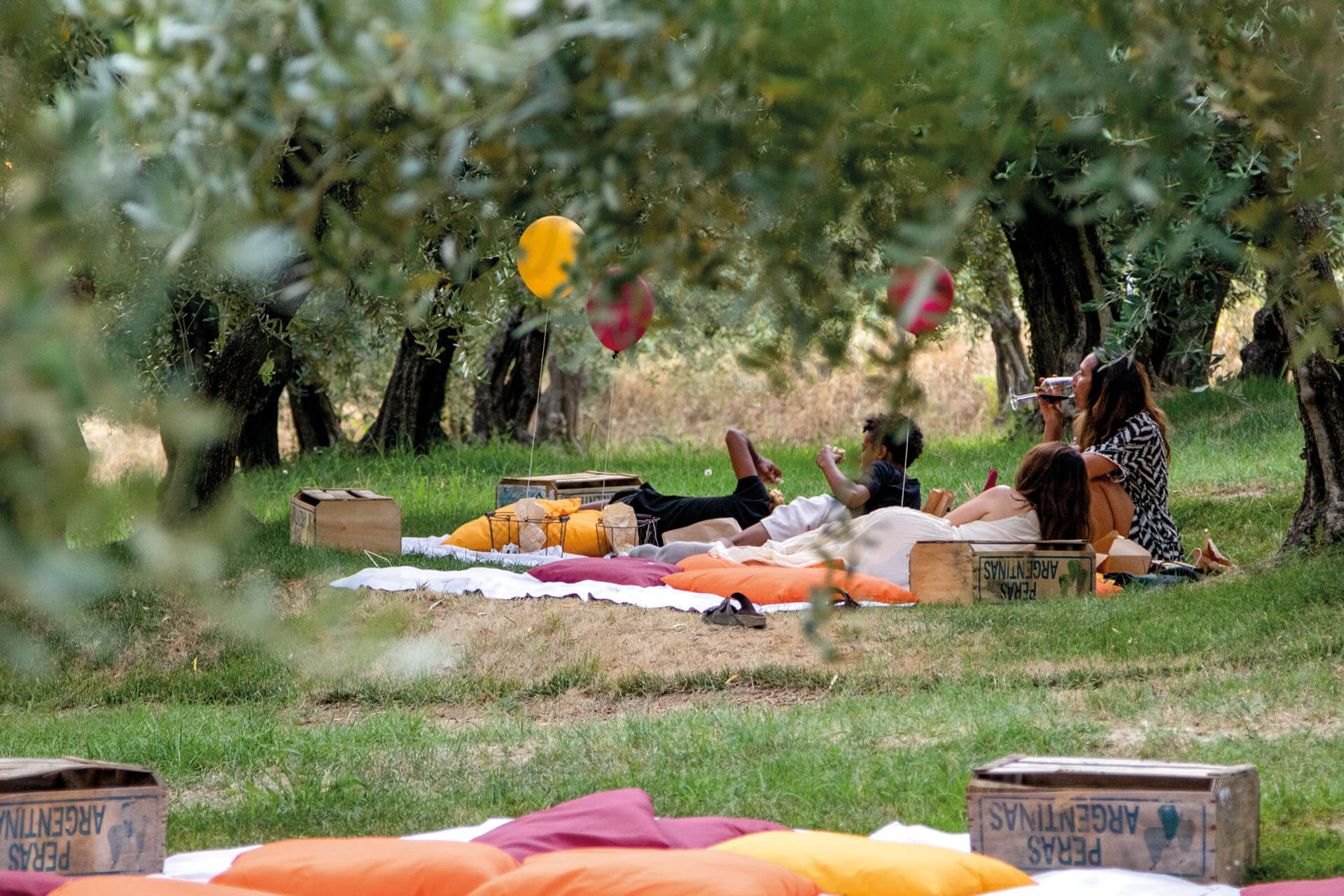 Picnic e cene magiche all'aperto