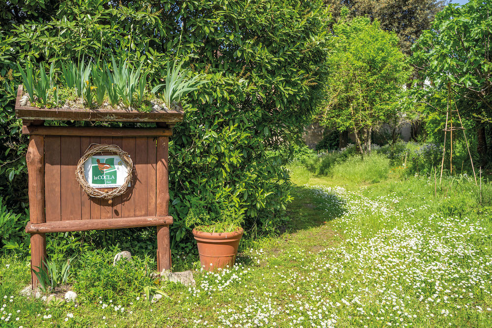 Giardini a Forlì, ritrovati