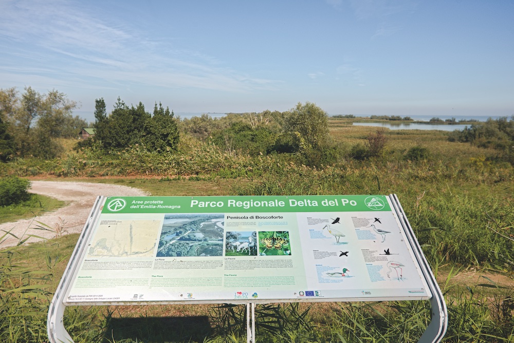 Penisola di Boscoforte: itinerari in natura