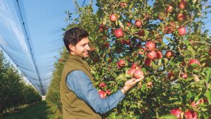 Fantini e la Mela delle Saline di Cervia