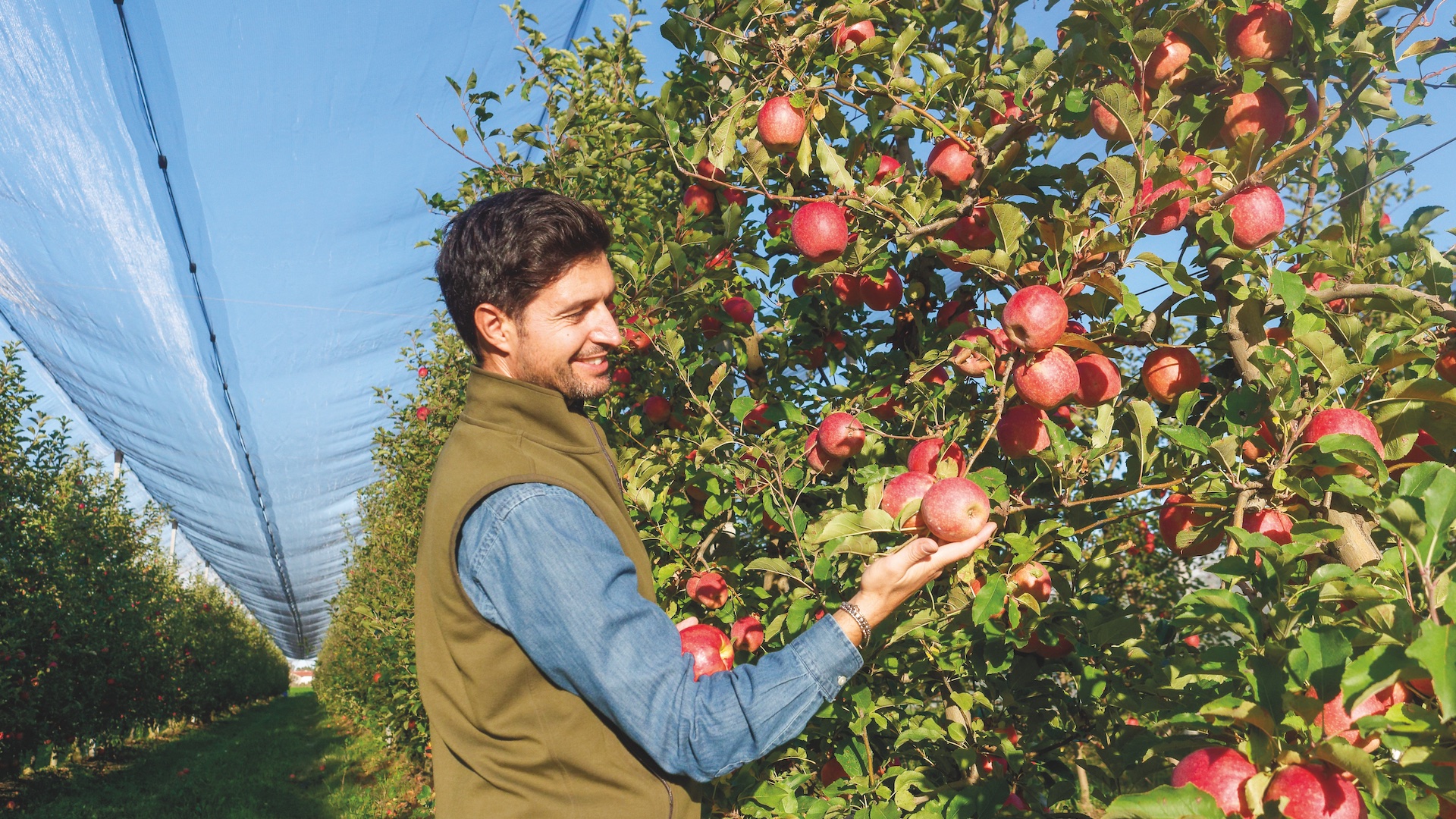 Fantini e la Mela delle Saline di Cervia
