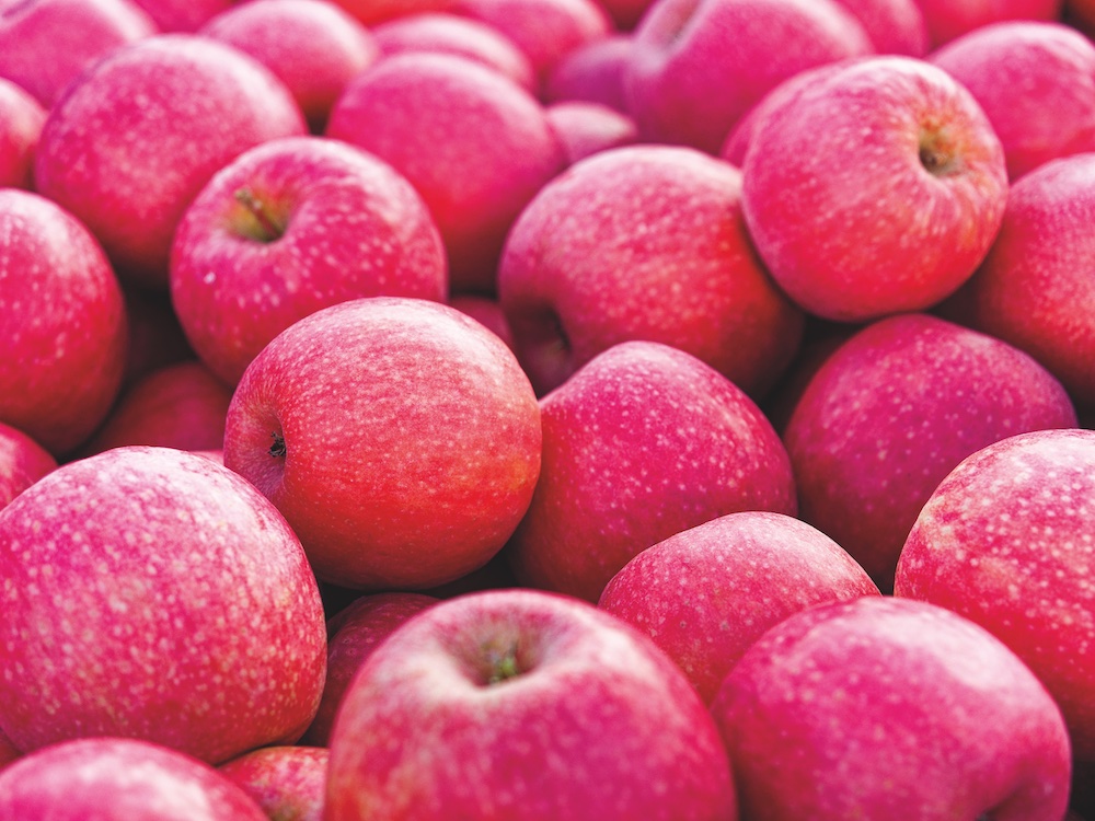 Fantini e la Mela delle Saline di Cervia