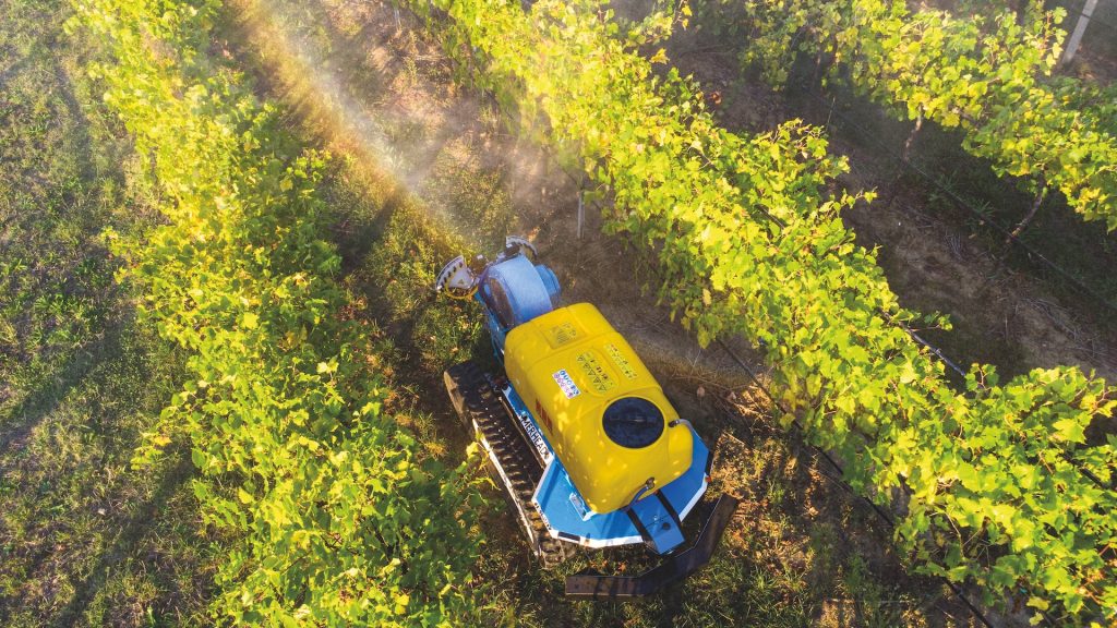 Lorenzo Marconi e i robot in campo