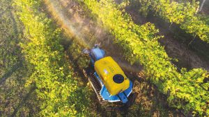 Lorenzo Marconi e i robot in campo