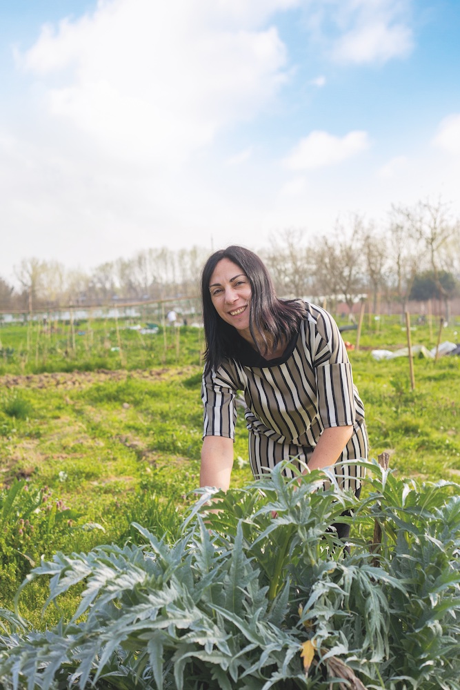 Radici Urbane, terreno fertile
