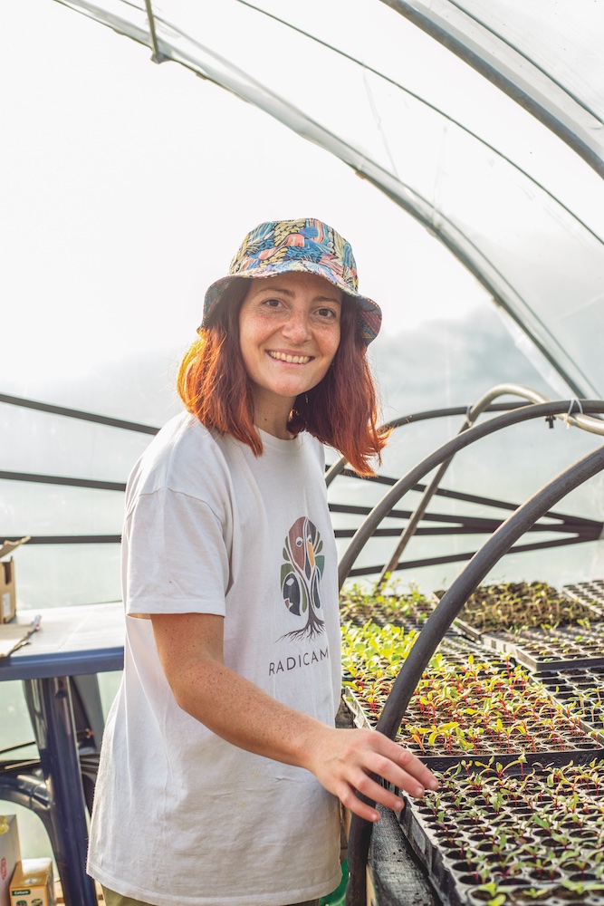Radici Urbane, terreno fertile