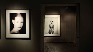 Galleria Paolo Roversi al Mar di Ravenna